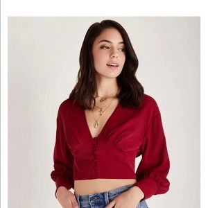 Backyard roses- Alex top